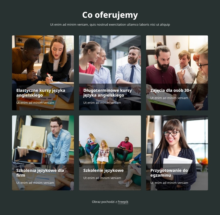 Oferujemy kursy językowe Motyw WordPress