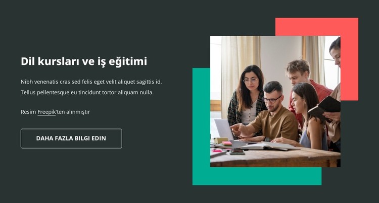 İş dili eğitimi CSS Şablonu