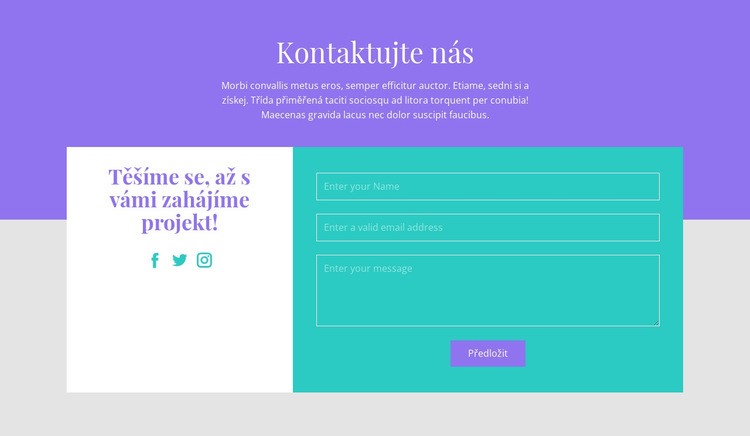 Napište nám email Téma WordPress