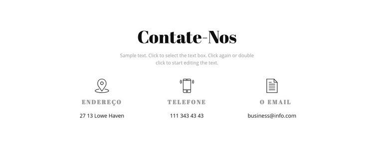 Detalhes do contato Design do site