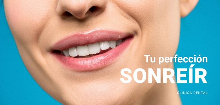 Tu hermosa sonrisa Diseño de páginas web