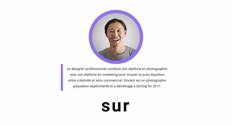 Promotion intégrée Thème WordPress