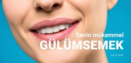 Güzel Gülüşün Tasarım Şablonu