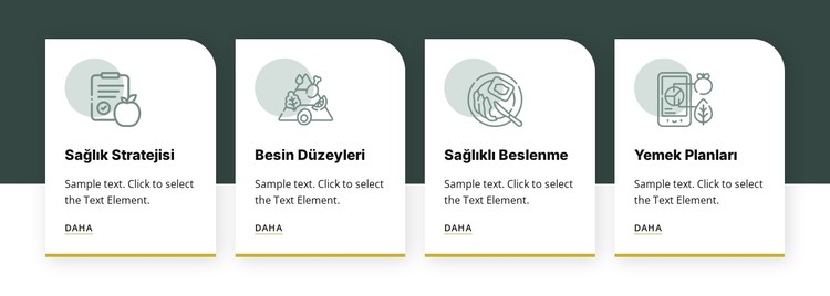 Gıda ve beslenme CSS Şablonu