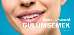 Güzel Gülüşün Için Web Sitesi Düzeni