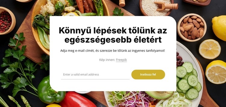 Feliratkozási űrlap a dobozban WordPress Téma