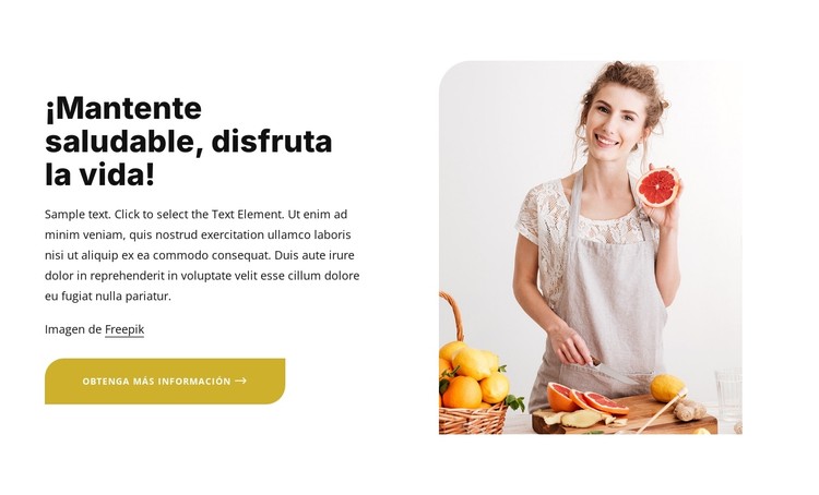 Comer una dieta sana y equilibrada Plantilla CSS