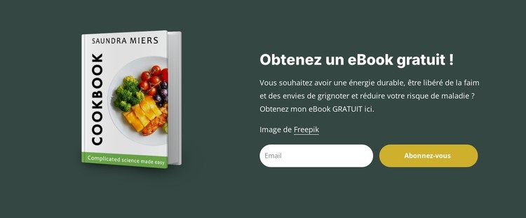 Livre électronique sur l'alimentation et la nutrition Modèle CSS