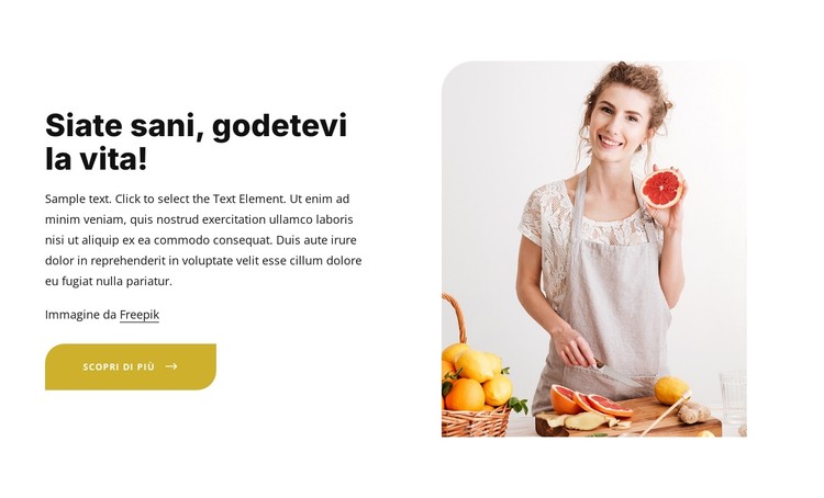 Mangiare una dieta sana ed equilibrata Modello CSS