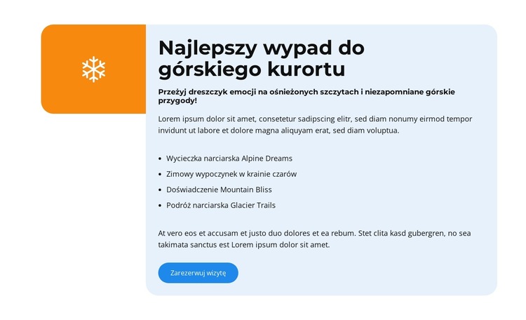 Szczyt zimowej zabawy Szablon witryny sieci Web