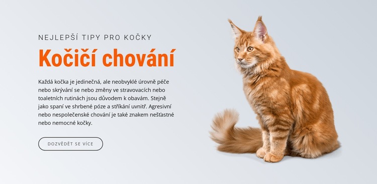 Chování kočky Šablona CSS