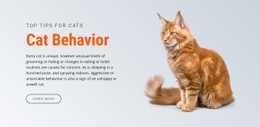 Kattengedrag Eenvoudige CSS-Sjabloon