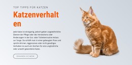 Katzenverhalten Einfache CSS-Vorlage