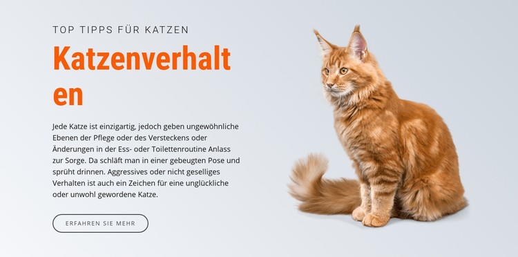 Katzenverhalten CSS-Vorlage