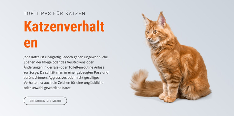 Katzenverhalten HTML-Vorlage