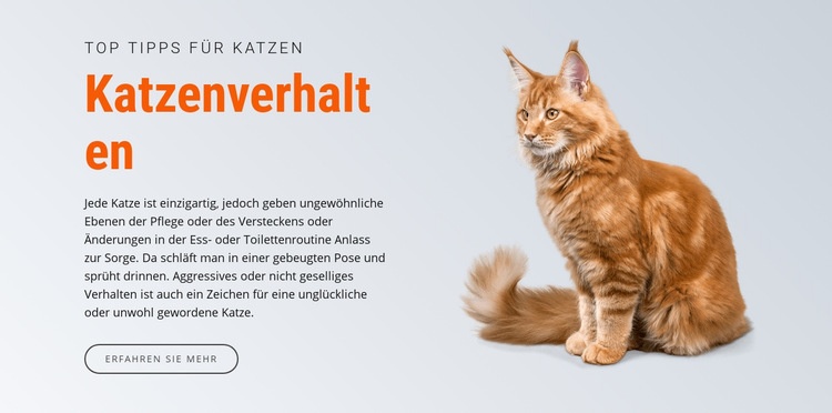 Katzenverhalten HTML Website Builder