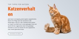 Katzenverhalten - Schlichtes Design