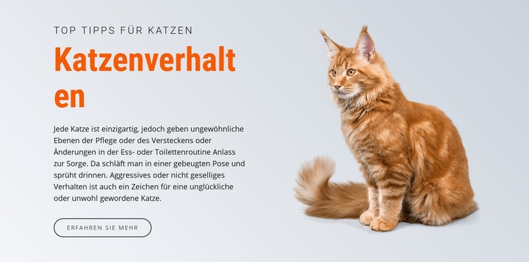 Katzenverhalten Website-Modell