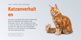 Kreativste Landingpage Für Katzenverhalten