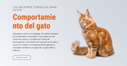 Comportamiento Del Gato Plantilla CSS Sencilla