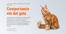 Comportamiento Del Gato: Plantilla HTML5 Adaptable