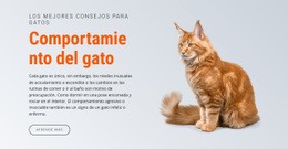 Plantilla HTML5 Más Creativa Para Comportamiento Del Gato
