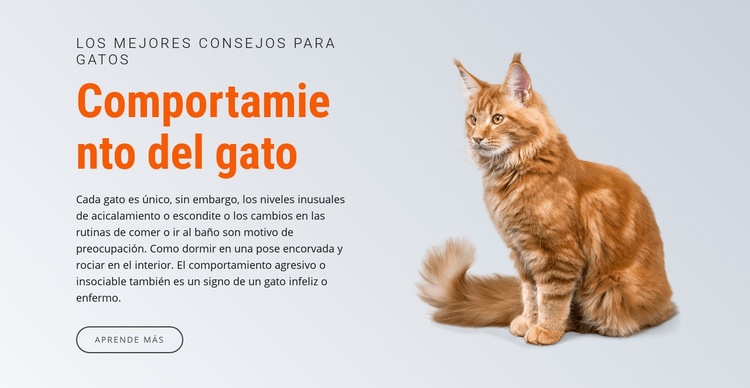 Comportamiento del gato Plantilla HTML5