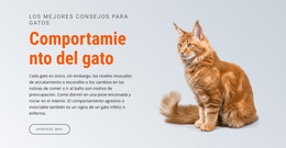 Comportamiento Del Gato - Descarga Gratuita De La Plantilla Joomla