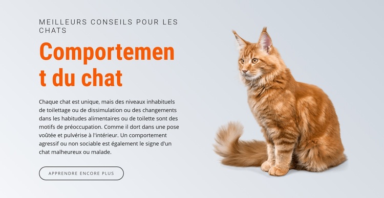 Comportement du chat Modèles de constructeur de sites Web