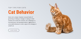 Cat Behavior - Responsive HTML5