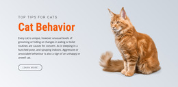 Most Creative HTML5 Template For Cat Behavior