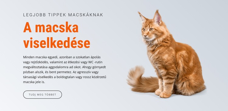 A macska viselkedése WordPress Téma