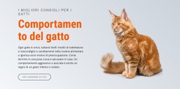 Comportamento Del Gatto - Modello Online