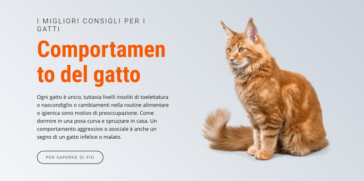 Comportamento del gatto Modello HTML