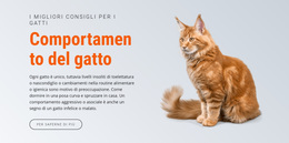 Comportamento Del Gatto - Miglior Tema WordPress Gratuito