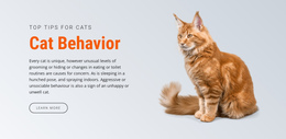 Cat Behavior - Custom One Page Template