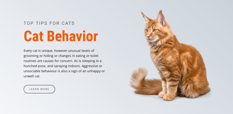 Cat behavior One Page Template