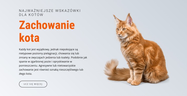 Zachowanie kota Makieta strony internetowej