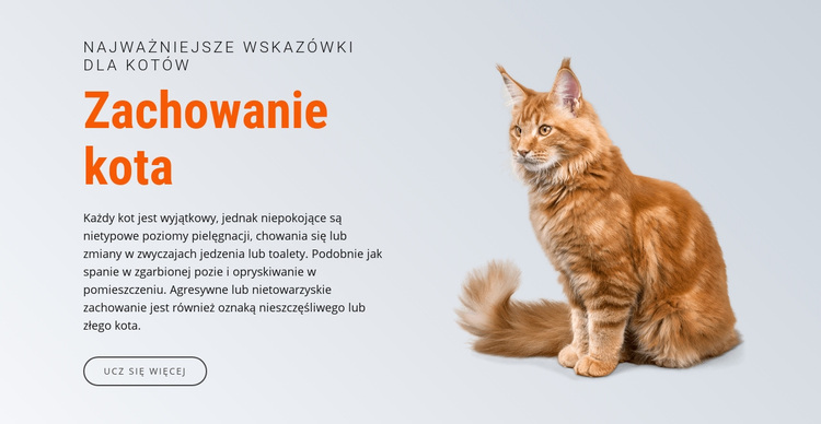 Zachowanie kota Motyw WordPress