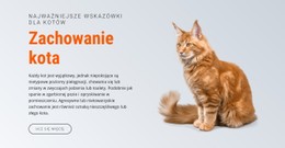 Zachowanie Kota Prosty Szablon CSS