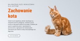 Najbardziej Kreatywny Szablon HTML5 Dla Zachowanie Kota