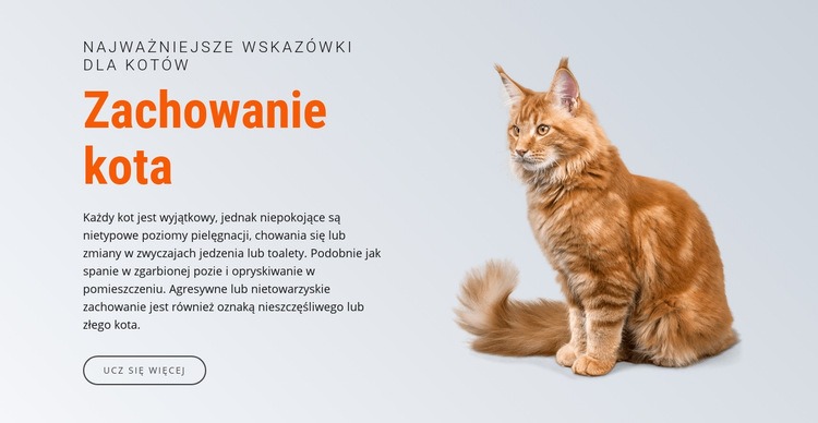 Zachowanie kota Szablon HTML5