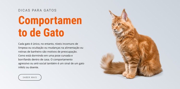 Comportamento de gato Modelos de construtor de sites