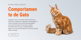 Comportamento De Gato - Download De Modelo HTML