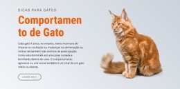 Modelo HTML5 Mais Criativo Para Comportamento De Gato