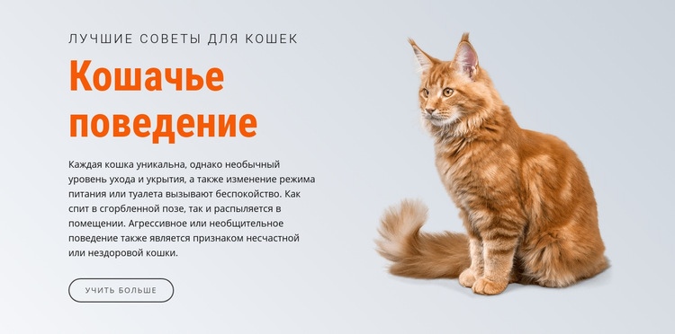 Поведение кошки HTML шаблон