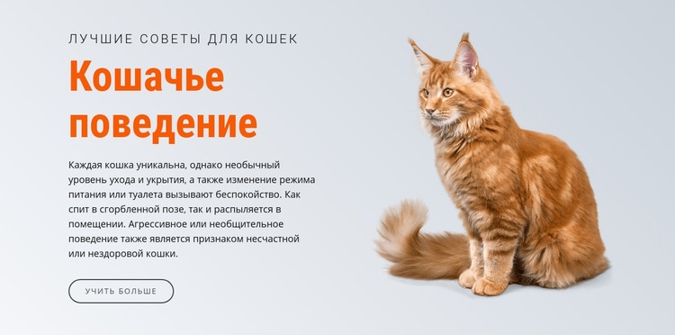 Поведение кошки HTML5 шаблон