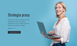 Strategia Biznesowa Pracy - Funkcjonalność Motywu WordPress