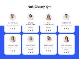 Tým Pokrývačské Firmy Šablona CSS