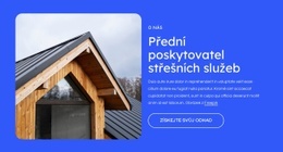 Poskytovatel Střešních Služeb